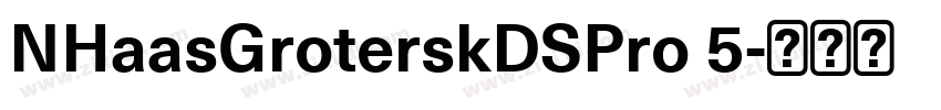 NHaasGroterskDSPro 5字体转换